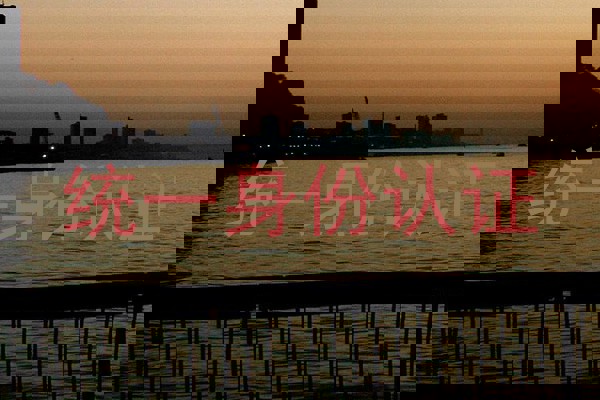 统一身份认证