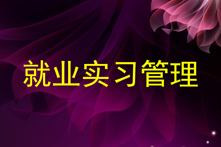 就业实习管理