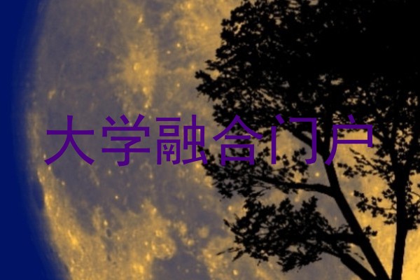 大学融合门户