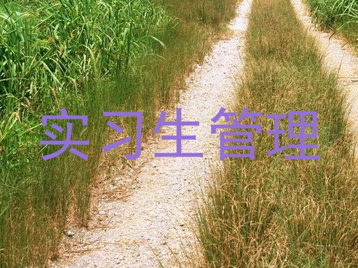 实习生管理