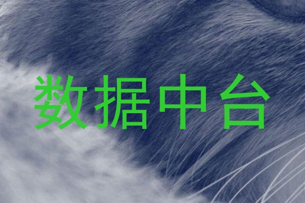 数据中台