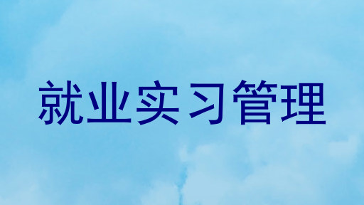 就业实习管理