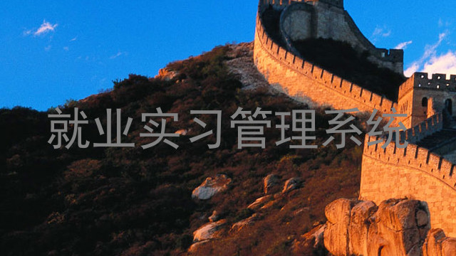 就业实习管理系统