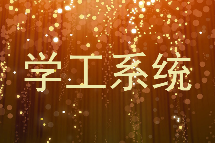 学工系统
