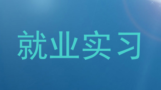 就业实习