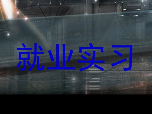就业实习