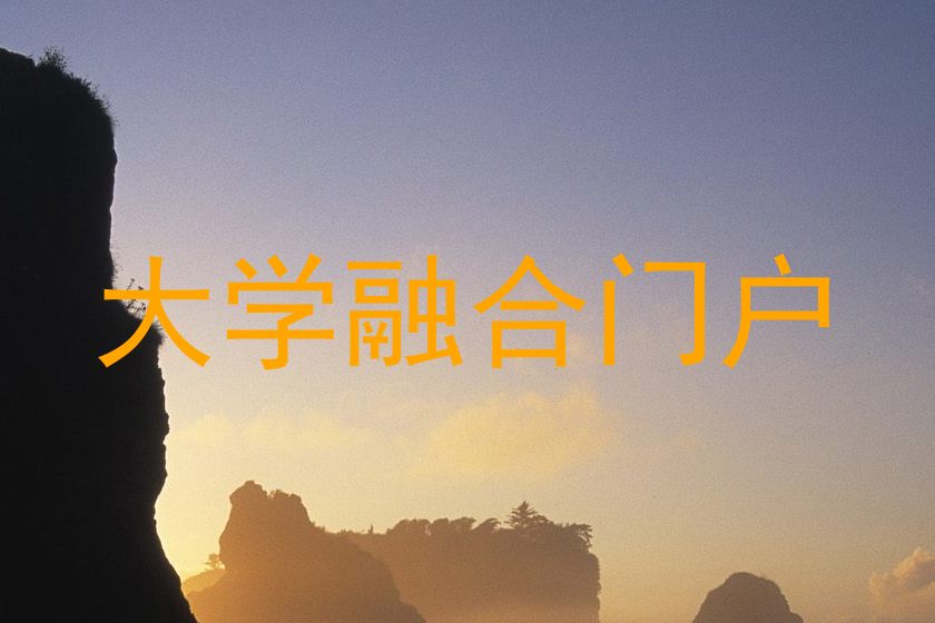 大学融合门户