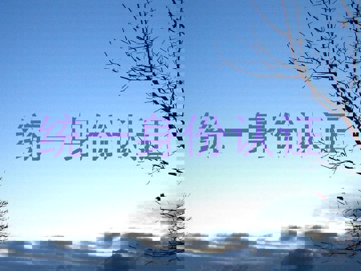 统一身份认证
