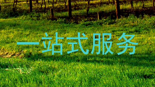 一站式服务