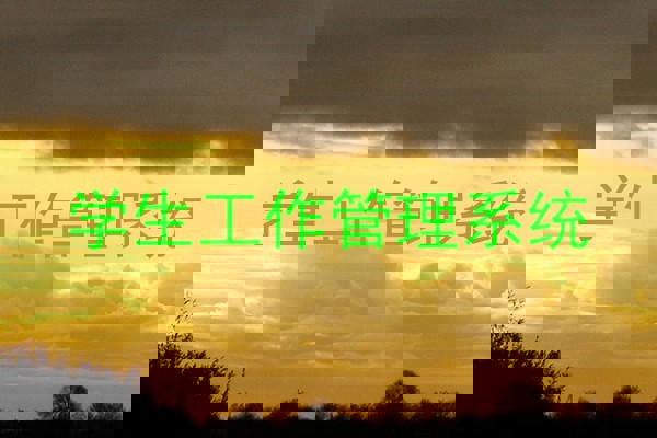 学生工作管理系统