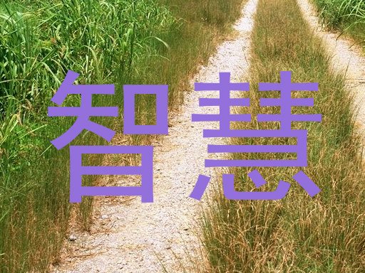 智慧