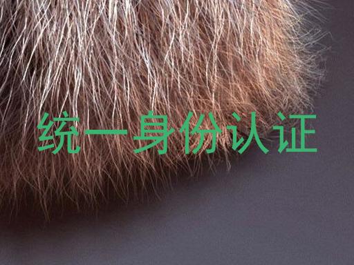 统一身份认证