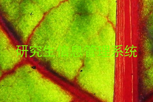 研究生信息管理系统