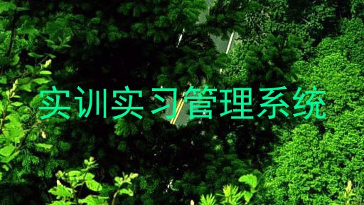 实训实习管理系统