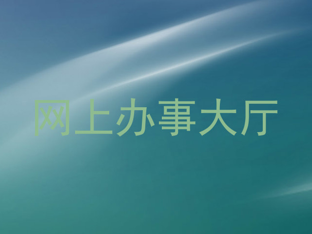 网上办事大厅