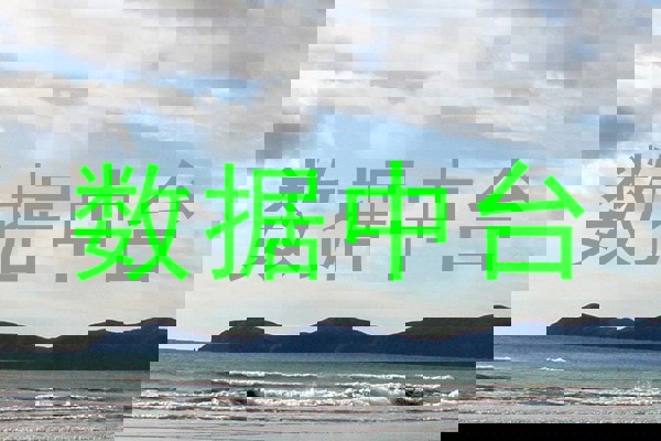 数据中台