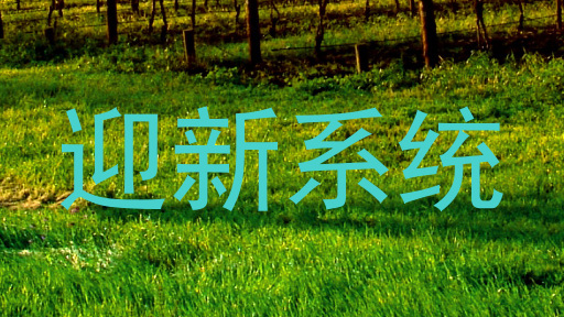 迎新系统