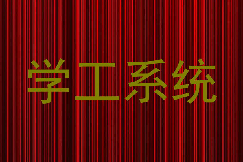 学工系统