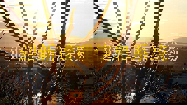 迎新管理信息系统