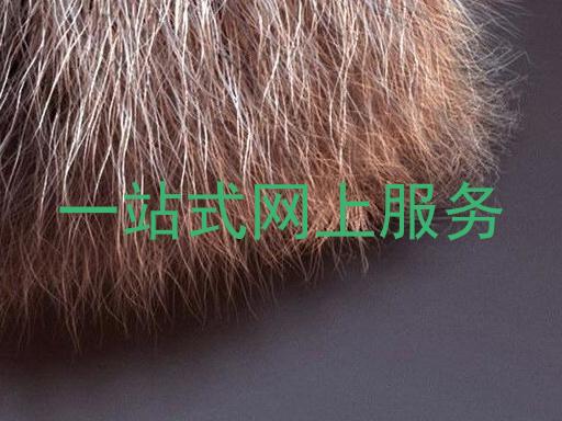 一站式网上服务