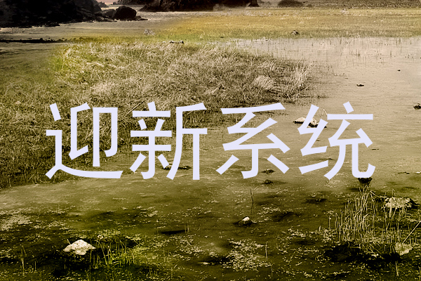 迎新系统