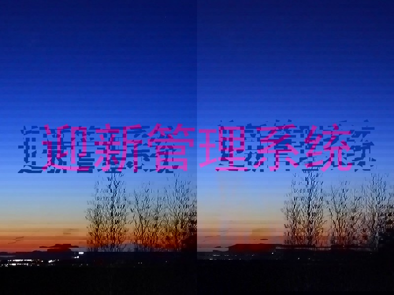 迎新管理系统
