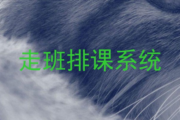 走班排课系统