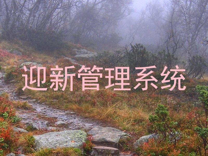 迎新管理系统