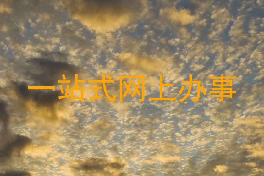 一站式网上办事