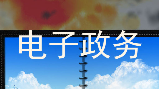 电子政务