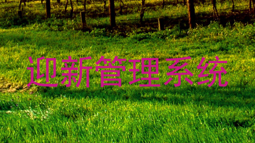迎新管理系统