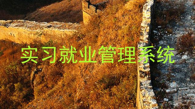 实习就业管理系统