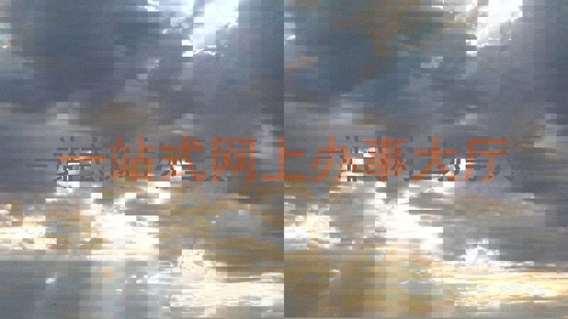 一站式网上办事大厅