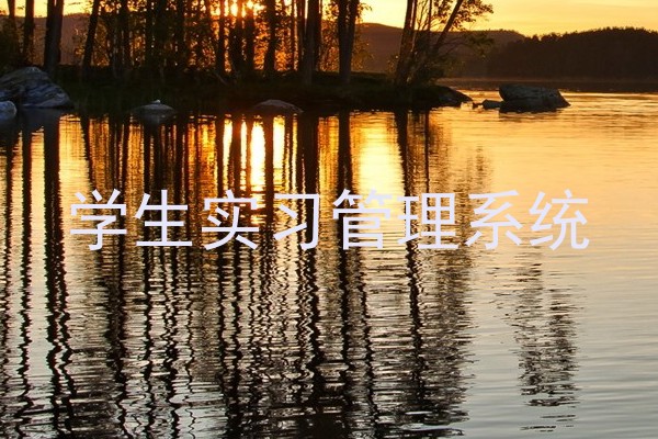 学生实习管理系统