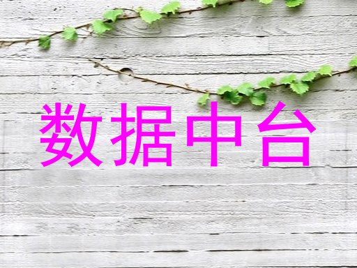数据中台