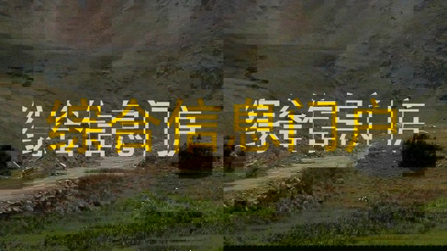 综合信息门户