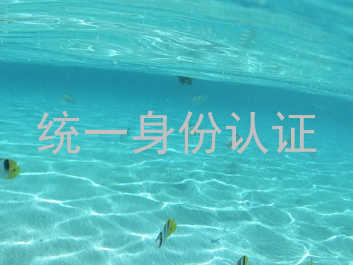 统一身份认证
