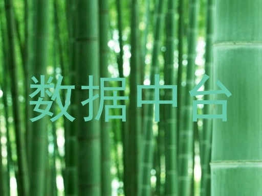 数据中台