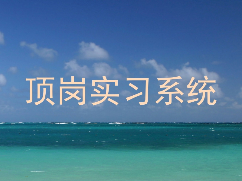 顶岗实习系统