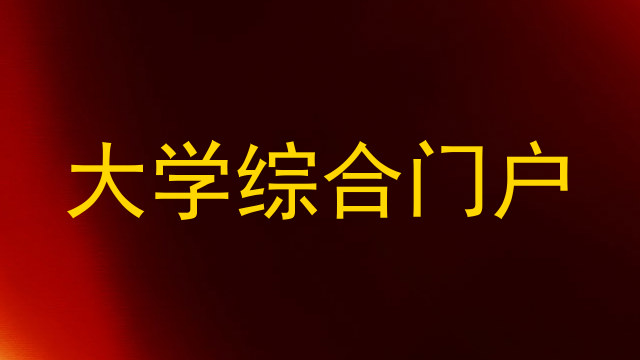 大学综合门户