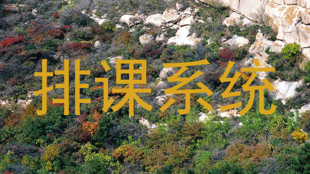 排课系统