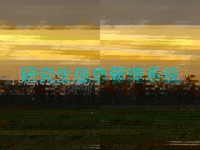 研究生信息管理系统