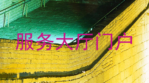 服务大厅门户