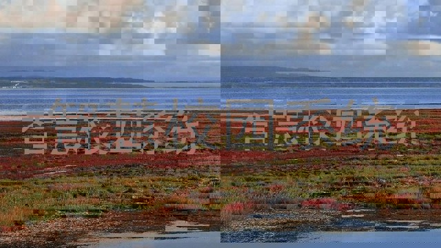 智慧校园系统