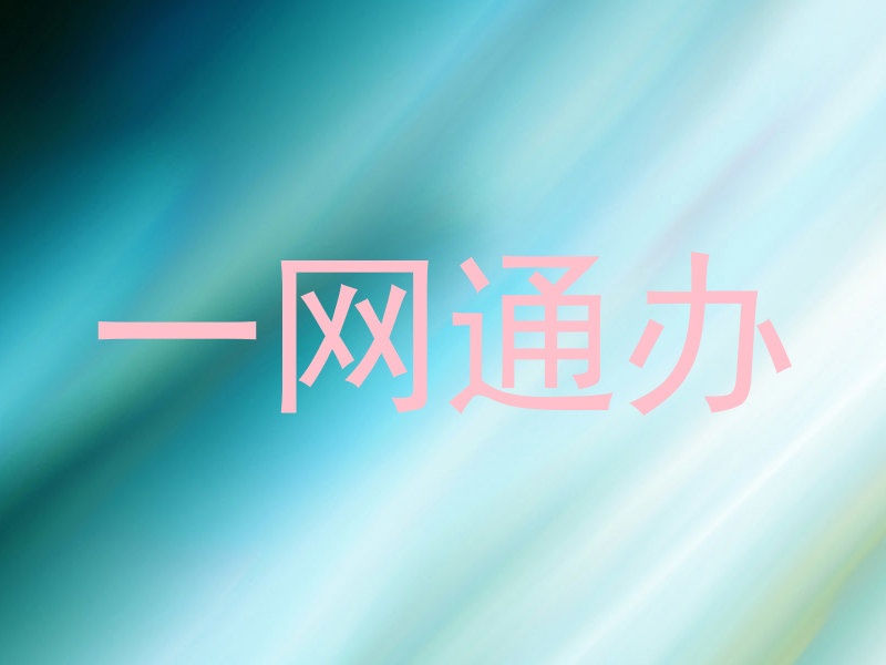 一网通办