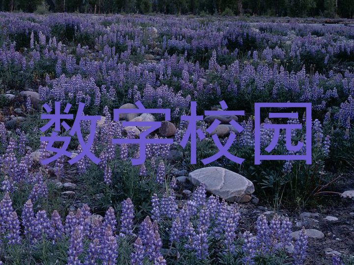 数字校园