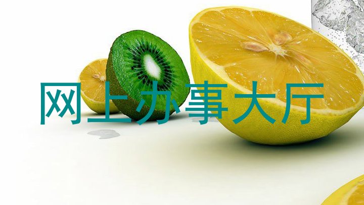 网上办事大厅