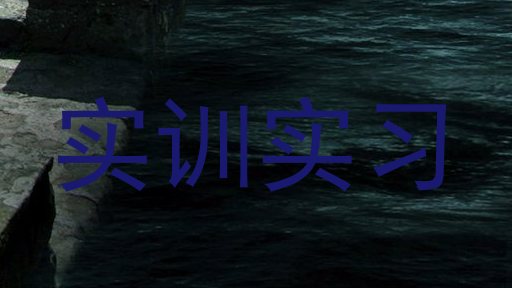 实训实习