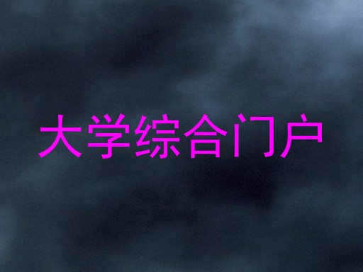 大学综合门户