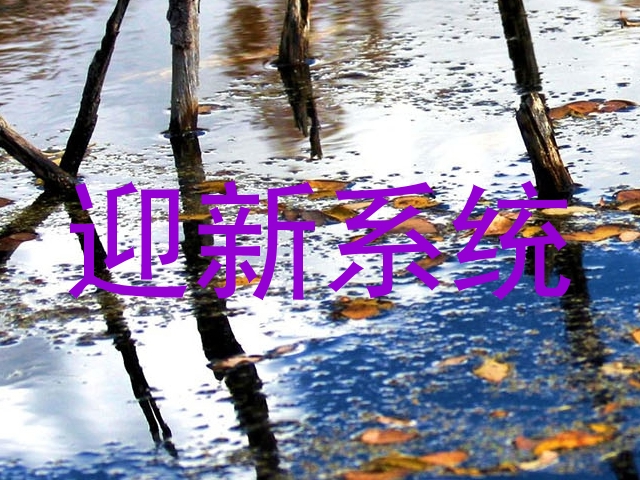 迎新系统